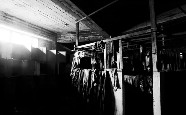 螢幕擷取畫面 2026-01-20 181925